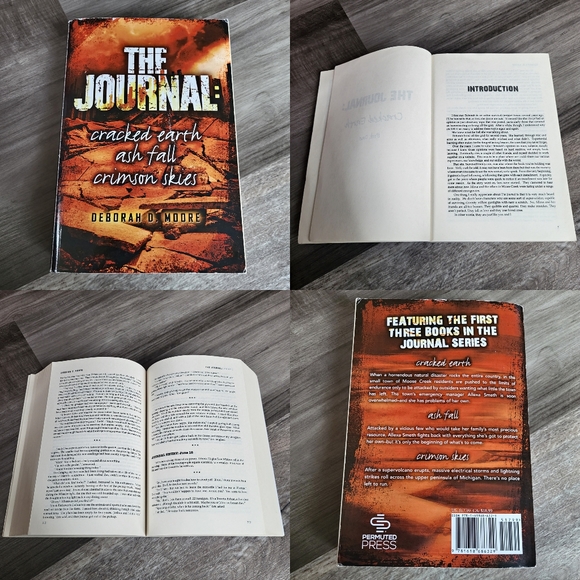 Lot of 4 Novels: The Reckoning, The Broker, The Journal Series & The Run - Picture 4 of 6